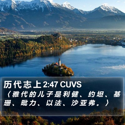 历 代 志 上 2:47 CUVS Bible Verse Image