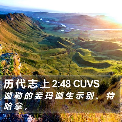 历 代 志 上 2:48 CUVS Bible Verse Image