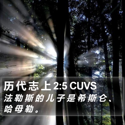历 代 志 上 2:5 CUVS Bible Verse Image