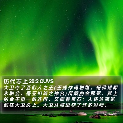 历 代 志 上 20:2 CUVS Bible Verse Image