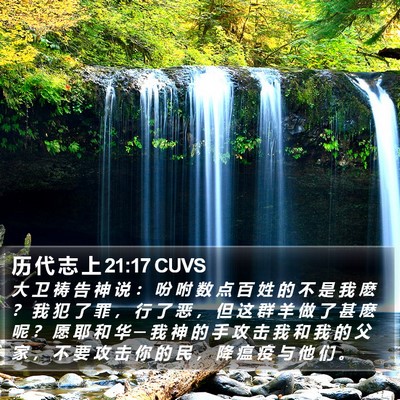 历 代 志 上 21:17 CUVS Bible Verse Image