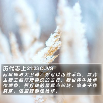 历 代 志 上 21:23 CUVS Bible Verse Image