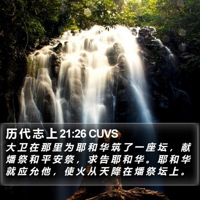 历 代 志 上 21:26 CUVS Bible Verse Image