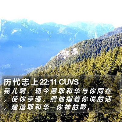 历 代 志 上 22:11 CUVS Bible Verse Image