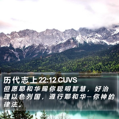 历 代 志 上 22:12 CUVS Bible Verse Image