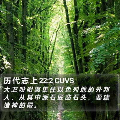 历 代 志 上 22:2 CUVS Bible Verse Image