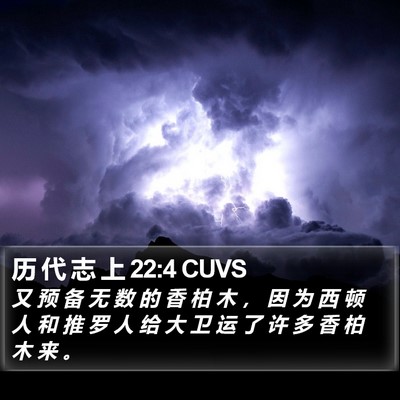 历 代 志 上 22:4 CUVS Bible Verse Image