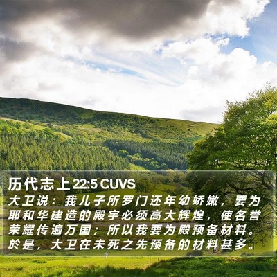 历 代 志 上 22:5 CUVS Bible Verse Image