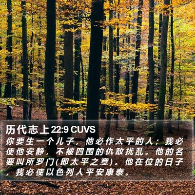 历 代 志 上 22:9 CUVS Bible Verse Image
