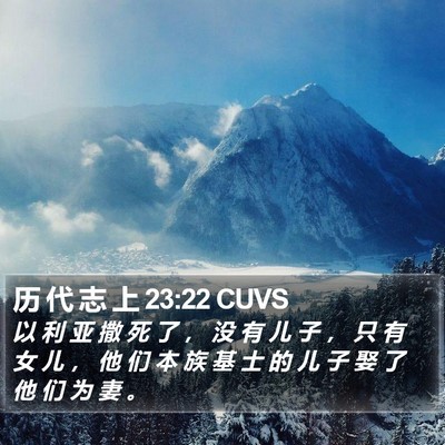 历 代 志 上 23:22 CUVS Bible Verse Image