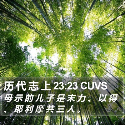 历 代 志 上 23:23 CUVS Bible Verse Image