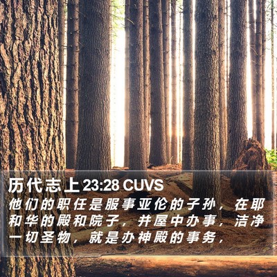 历 代 志 上 23:28 CUVS Bible Verse Image
