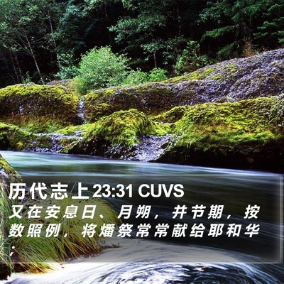 历 代 志 上 23:31 CUVS Bible Verse Image