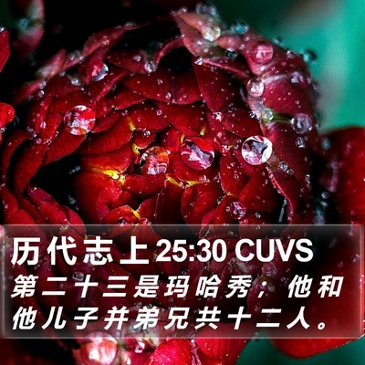 历 代 志 上 25:30 CUVS Bible Verse Image