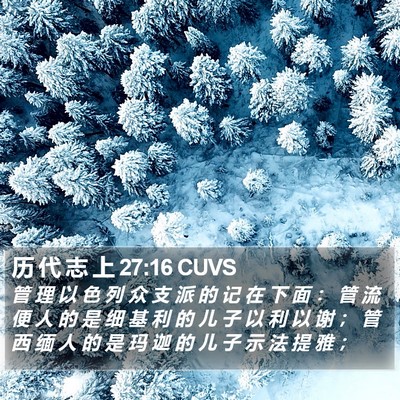 历 代 志 上 27:16 CUVS Bible Verse Image