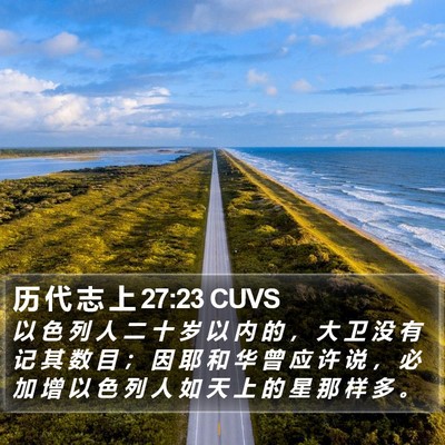 历 代 志 上 27:23 CUVS Bible Verse Image