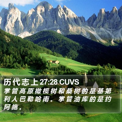 历 代 志 上 27:28 CUVS Bible Verse Image
