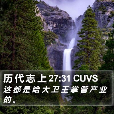 历 代 志 上 27:31 CUVS Bible Verse Image