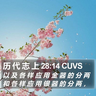 历 代 志 上 28:14 CUVS Bible Verse Image