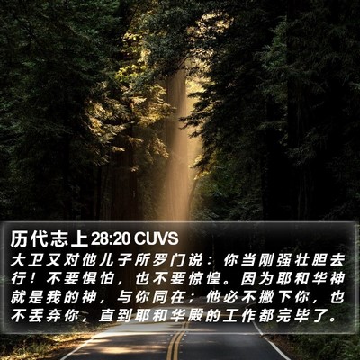 历 代 志 上 28:20 CUVS Bible Verse Image