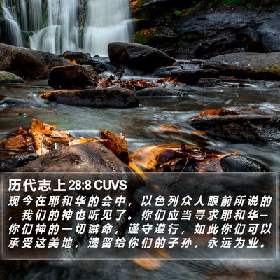 历 代 志 上 28:8 CUVS Bible Verse Image