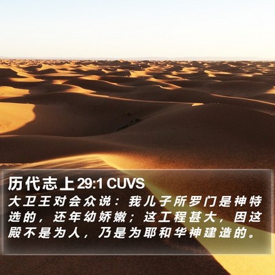 历 代 志 上 29:1 CUVS Bible Verse Image