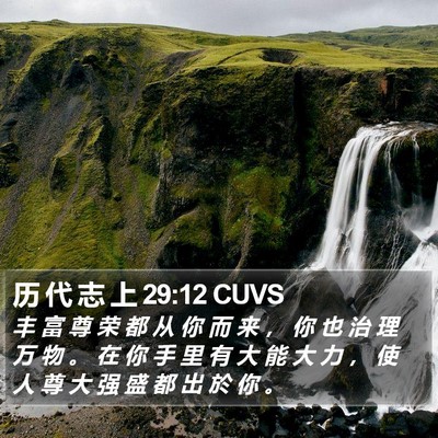 历 代 志 上 29:12 CUVS Bible Verse Image
