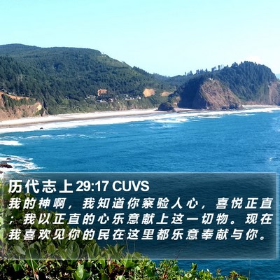 历 代 志 上 29:17 CUVS Bible Verse Image