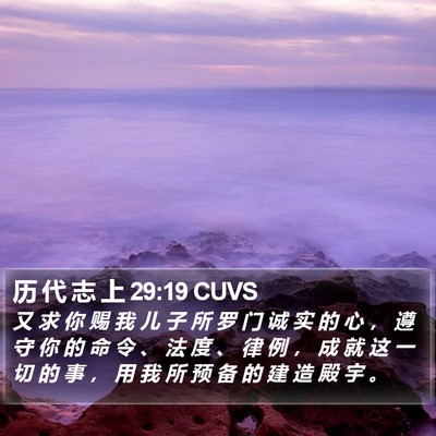 历 代 志 上 29:19 CUVS Bible Verse Image