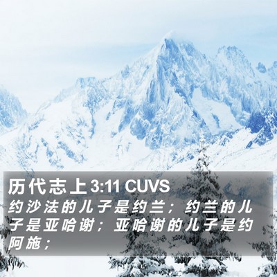 历 代 志 上 3:11 CUVS Bible Verse Image