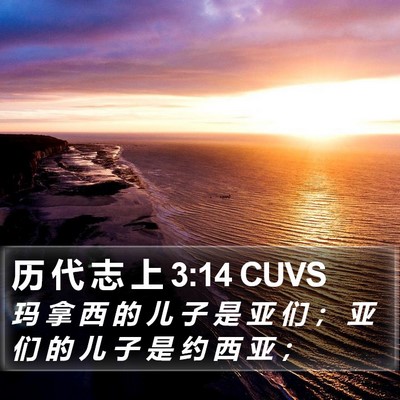 历 代 志 上 3:14 CUVS Bible Verse Image