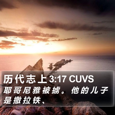 历 代 志 上 3:17 CUVS Bible Verse Image