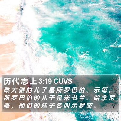 历 代 志 上 3:19 CUVS Bible Verse Image