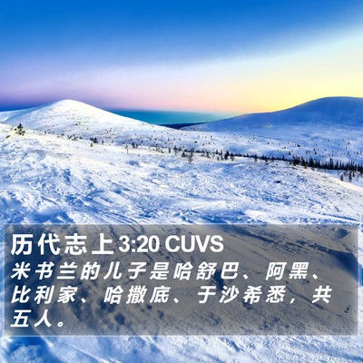 历 代 志 上 3:20 CUVS Bible Verse Image