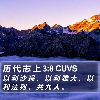 历 代 志 上 3:8 CUVS Bible Verse Image