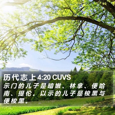 历 代 志 上 4:20 CUVS Bible Verse Image
