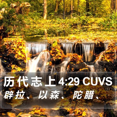 历 代 志 上 4:29 CUVS Bible Verse Image