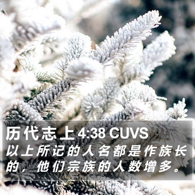 历 代 志 上 4:38 CUVS Bible Verse Image