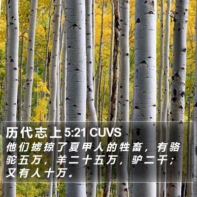 历 代 志 上 5:21 CUVS Bible Verse Image
