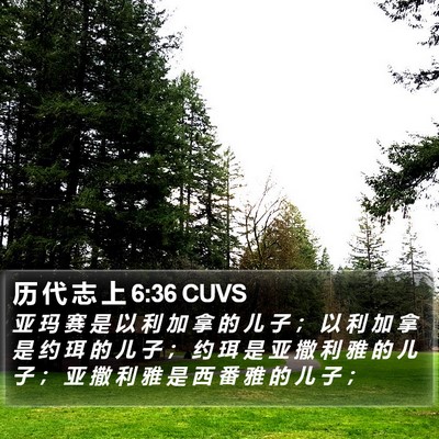 历 代 志 上 6:36 CUVS Bible Verse Image