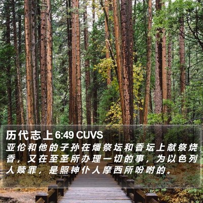 历 代 志 上 6:49 CUVS Bible Verse Image