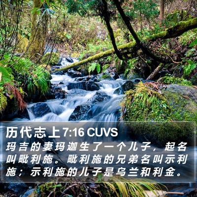 历 代 志 上 7:16 CUVS Bible Verse Image