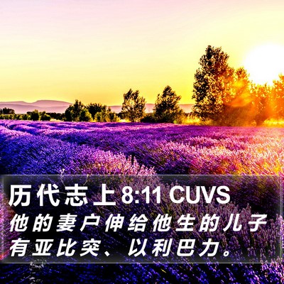 历 代 志 上 8:11 CUVS Bible Verse Image