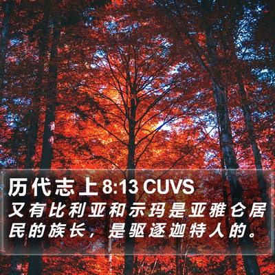 历 代 志 上 8:13 CUVS Bible Verse Image
