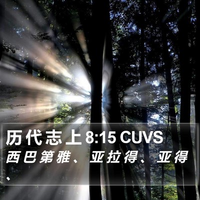 历 代 志 上 8:15 CUVS Bible Verse Image