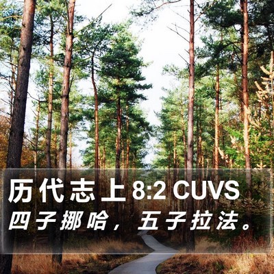 历 代 志 上 8:2 CUVS Bible Verse Image