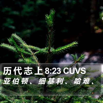 历 代 志 上 8:23 CUVS Bible Verse Image
