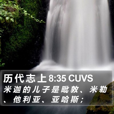 历 代 志 上 8:35 CUVS Bible Verse Image