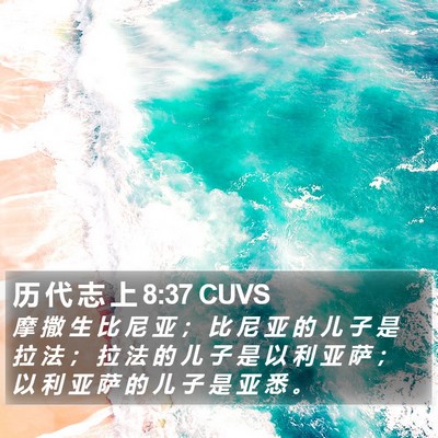 历 代 志 上 8:37 CUVS Bible Verse Image