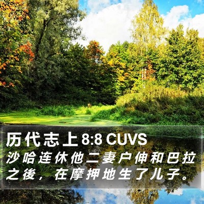 历 代 志 上 8:8 CUVS Bible Verse Image